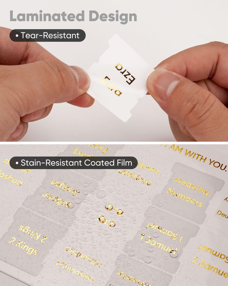 Morjor Bible Tabs for Women and Men  Light Theme  75 Large Print Bible Tabs & 1 Bookmark  Laminated Bible Book Tabs for Study Bible  Easy Navigation  Easy-to-Read Sans Serif Type - Image 5